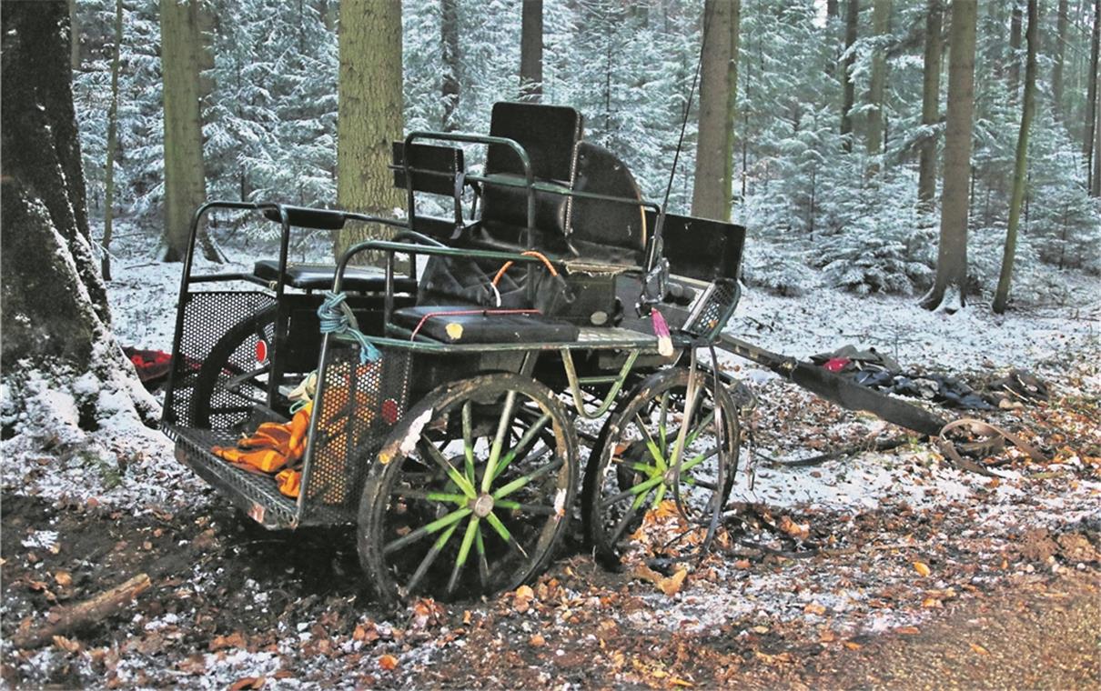 Kutschfahrt mit tragischem Ende: Die beiden Pferde, die die Kutsche gezogen hatten, gerieten aus bislang ungeklärten Gründen in Panik. Der 85-jährige Gespannlenker wurde schwer verletzt.