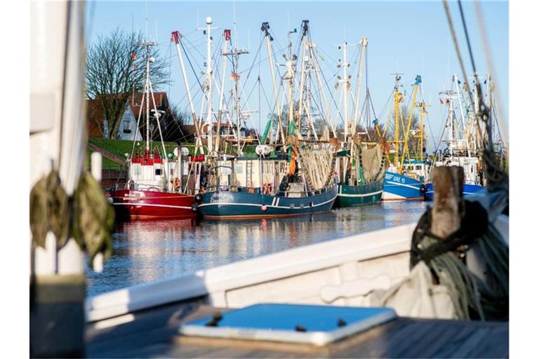 Kutter in Greetsiel: Angesichts der hohen Spritpreise bleiben die meisten Krabbenfischer erst einmal im Hafen. Foto: Hauke-Christian Dittrich/dpa