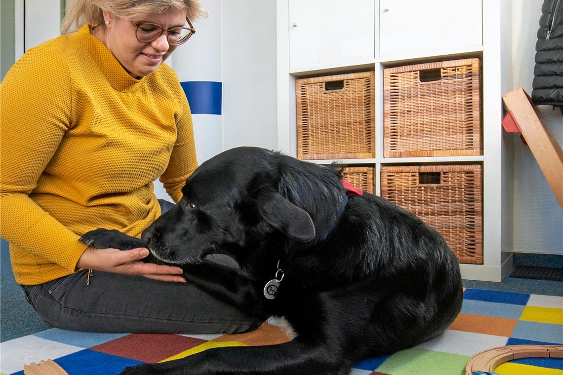 Mit dem Vierbeiner gegen die Angst Labrador/Border-Collie-Mischling Hugo mit Logopädin Katrin Lank. Foto: A. Becher