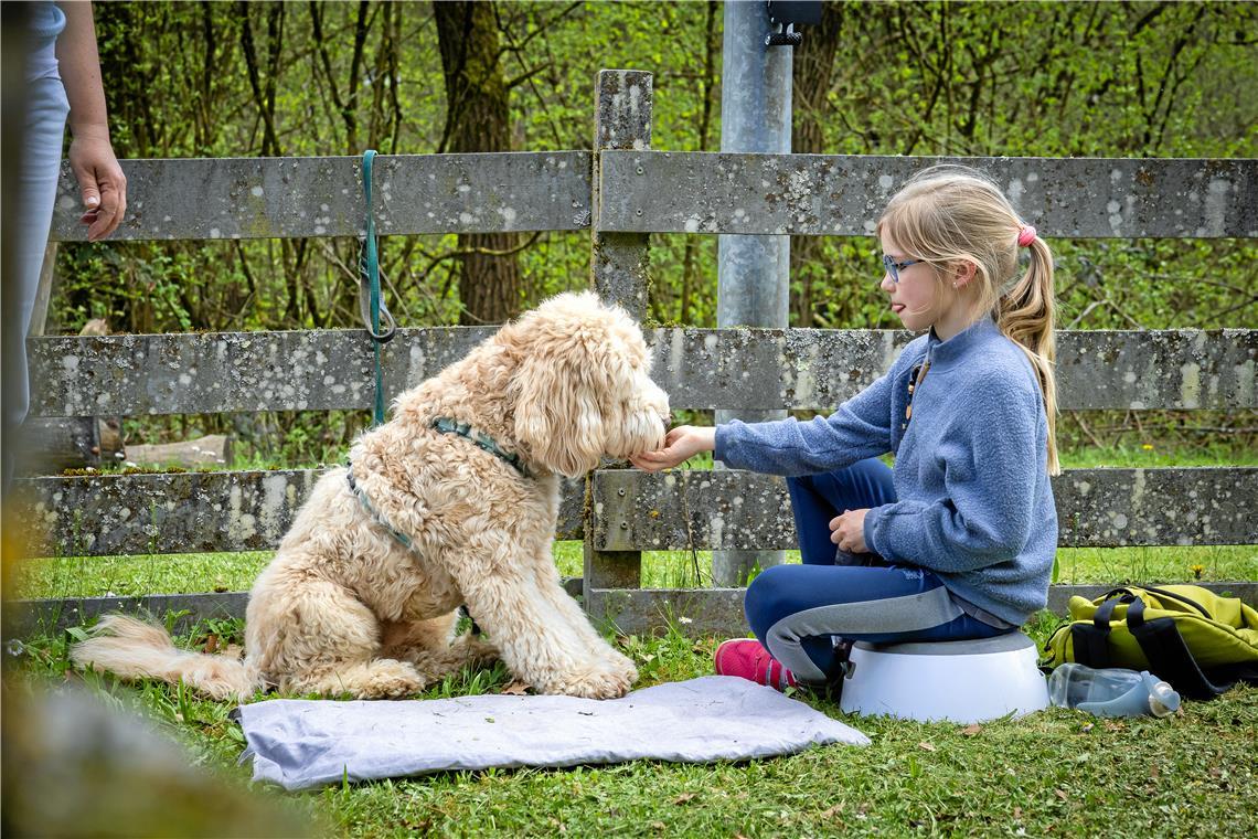 Labradudel Kai frisst Aimée Kramp buchstäblich aus der Hand.
