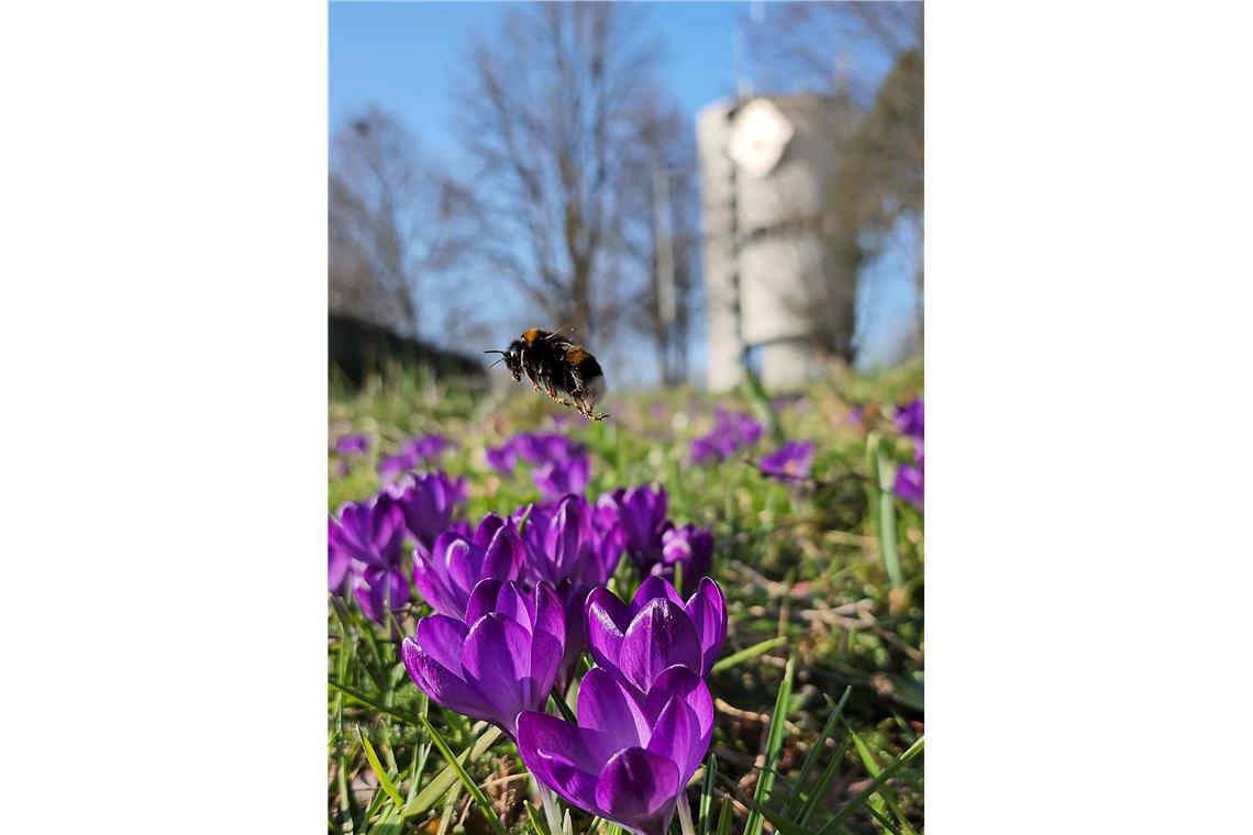 Landeanflug am Wasserturm