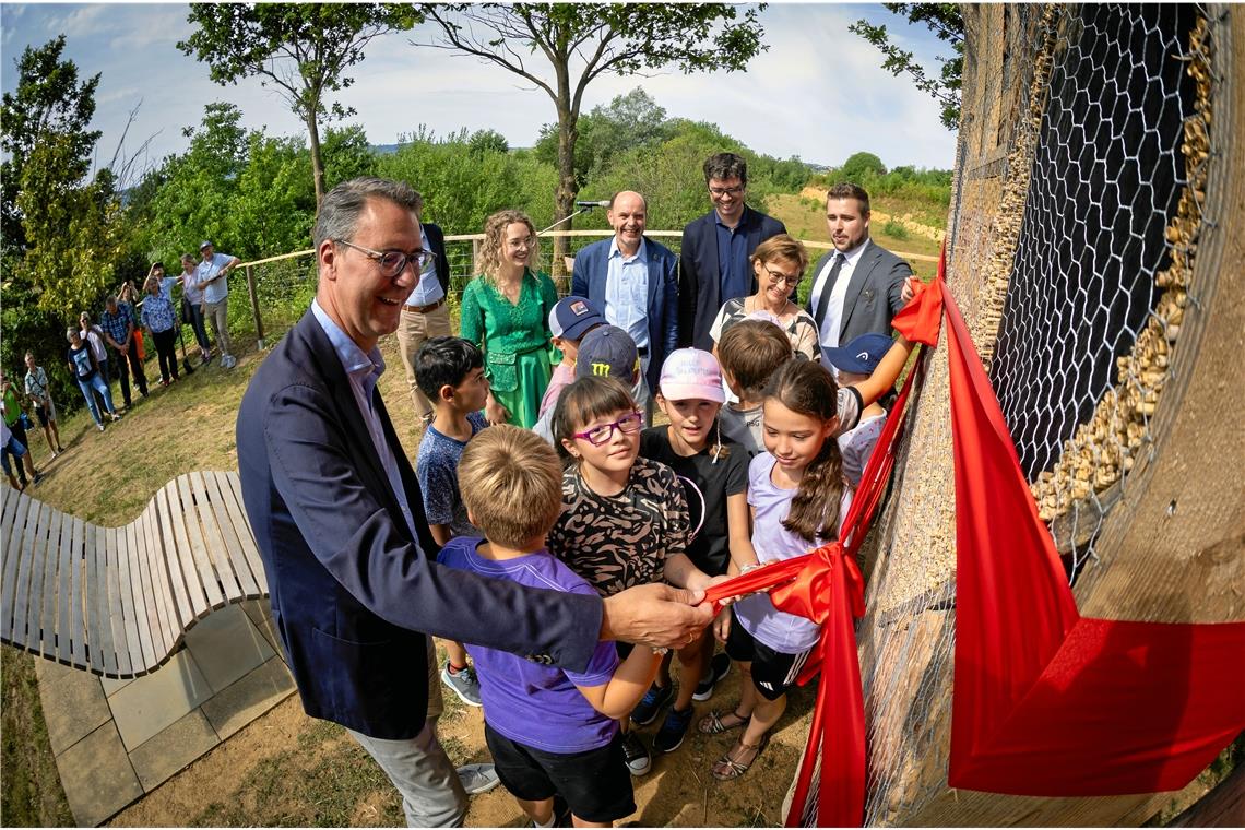 Biodiversitätspfad in Weissach: Ein Hotspot der Artenvielfalt