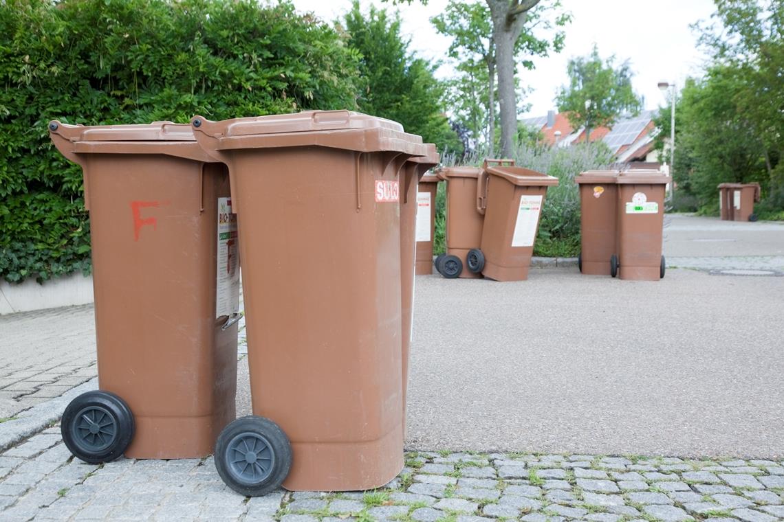 Landrat winkt  in Sachen vorgezogener Leerung der Biotonne ab. Foto: J. Fiedler