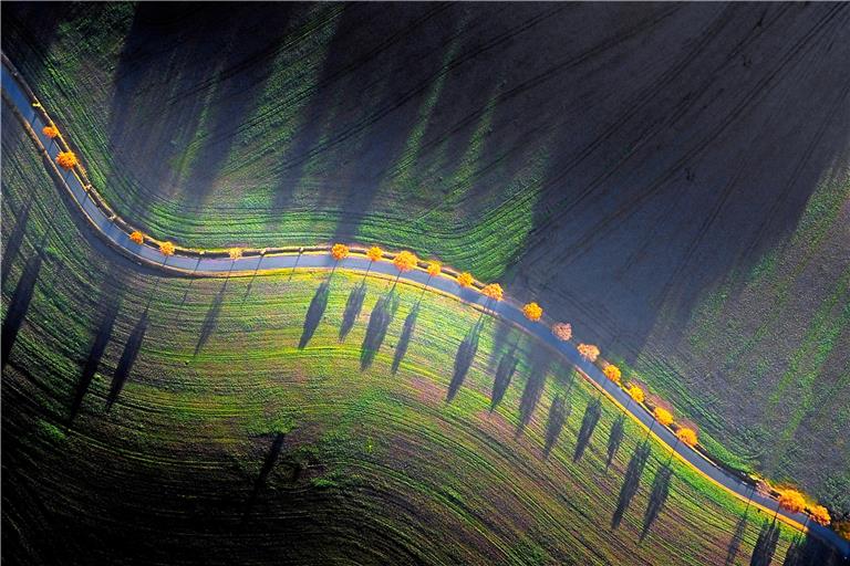 „Landschaftsfotografie“ kreativ umgesetzt: Lange Schatten und landwirtschaftliche Muster zeichnen dieses Bild aus. Foto: Stefan Liebermann