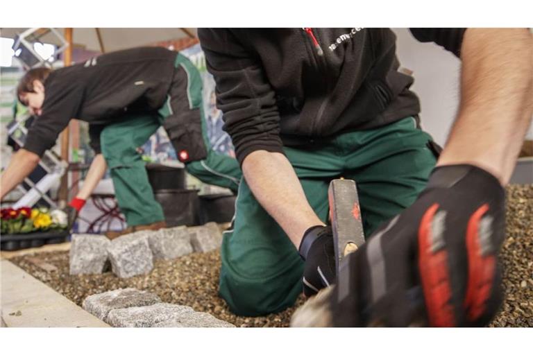 Landschaftsgärtner zeigen bei einer Messe ihr Können - in der Ausbildung läuft es nicht immer rund.