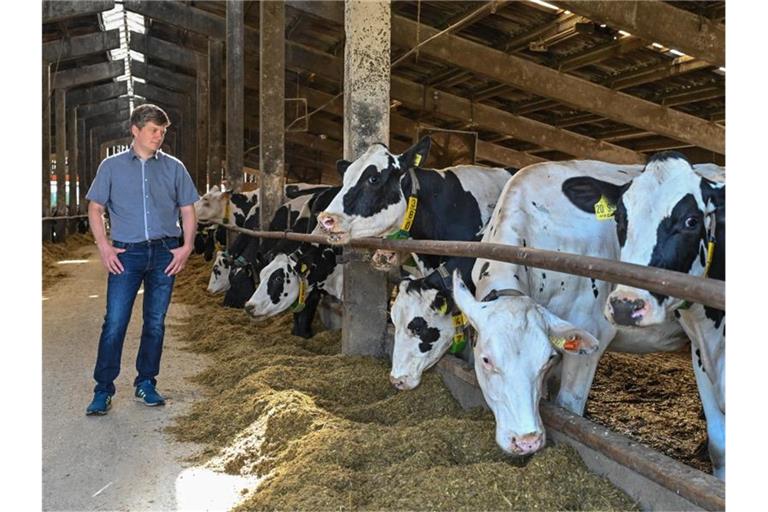 Landwirt Andreas Paries führt nun einen Öko-Betrieb. Foto: Patrick Pleul/dpa-Zentralbild/ZB