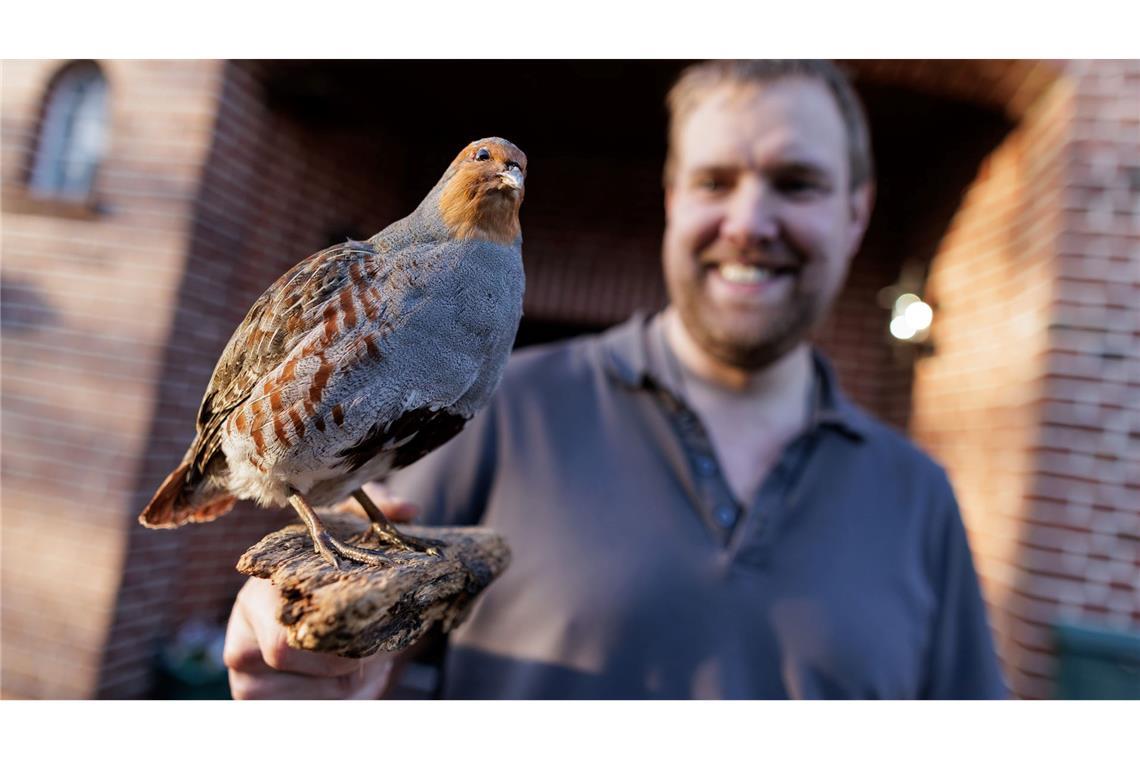 Landwirt Christian Wiese beteiligt sich seit mehreren Jahren an dem Projekt zum Schutz der Rebhühner in der Dümmerregion. Er zeigt auf seinem Hof ein Tierpräparat. Dabei handelt es sich um ein männliches Rebhuhn.