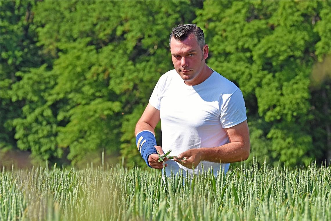 Landwirt Markus Fischer prüft den Weizen auf seinem Feld. Für die Flachwurzler wäre es gut, wenn es bald wieder regnet. Foto: Tobias Sellmaier