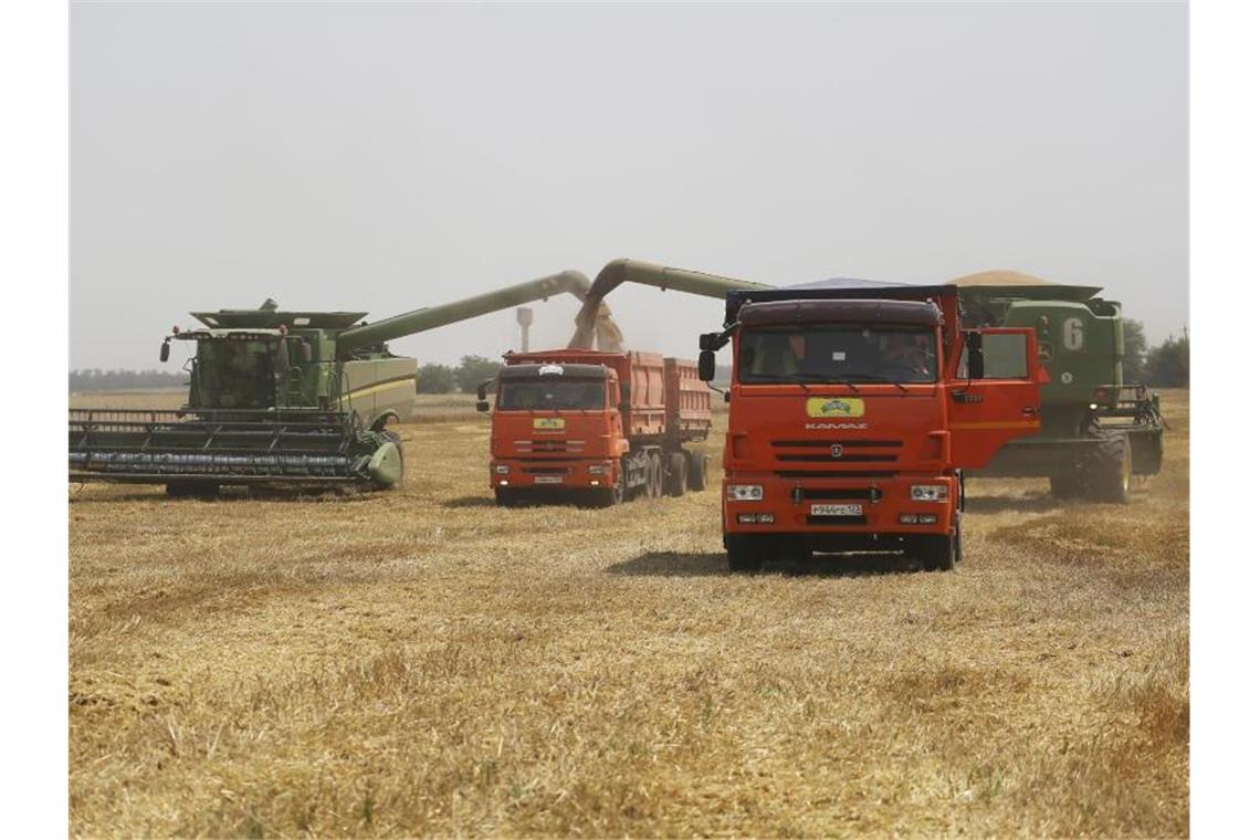 Baywa-Chef: Europa steht keine Hungersnot bevor Landwirte ernten mit ihren Mähdreschern Weizen auf einem Weizenfeld in Südwestrussland. Baywa geht davon aus, dass in diesem Jahr ein erheblicher Teil der Getreideexporte aus Russland und der Ukraine ausfallen wird. Foto: Vitaly Timkiv/AP/dpa
