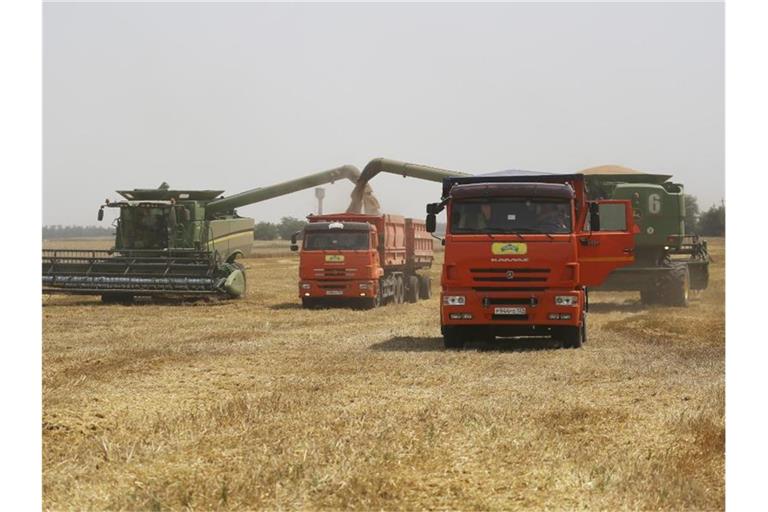 Landwirte ernten mit ihren Mähdreschern Weizen auf einem Weizenfeld in Südwestrussland. Baywa geht davon aus, dass in diesem Jahr ein erheblicher Teil der Getreideexporte aus Russland und der Ukraine ausfallen wird. Foto: Vitaly Timkiv/AP/dpa