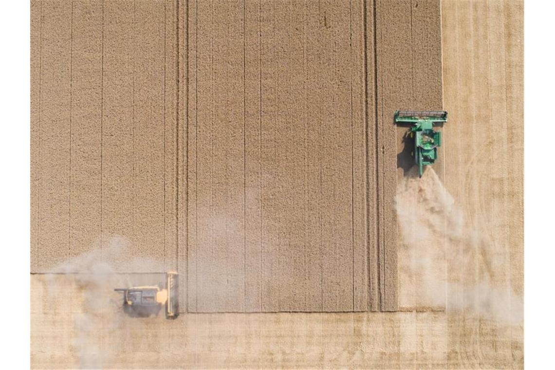 Landwirte ernten mit Mähdreschern ein Weizenfeld in Algermissen. Foto: Julian Stratenschulte/dpa