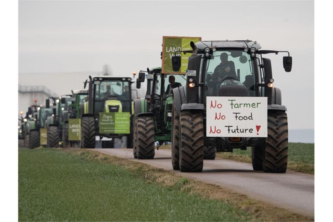 Landwirte fahren mit Traktoren während einer Protestfahrt auf einem Feldweg. Foto: Marijan Murat/dpa