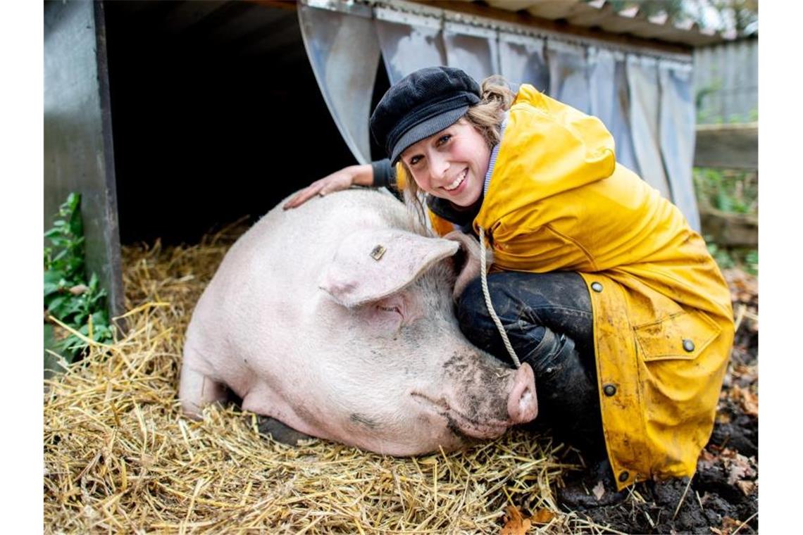 Schwein Rosalie lebt sauglücklich in Ostfriesland Landwirtin Maren Osterbuhr neben dem ehemaligen Mastschwein Rosalie auf ihrem Hof. Foto: Hauke-Christian Dittrich/dpa