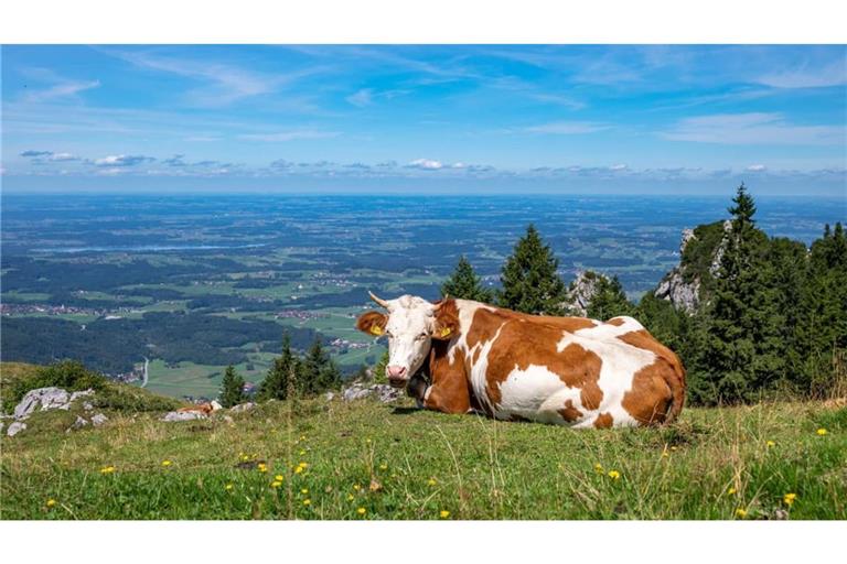 Lange bleiben dürfte das Sommer-Revival nicht - schon zum Wochenstart drohen wieder Wolken und Schauer.
