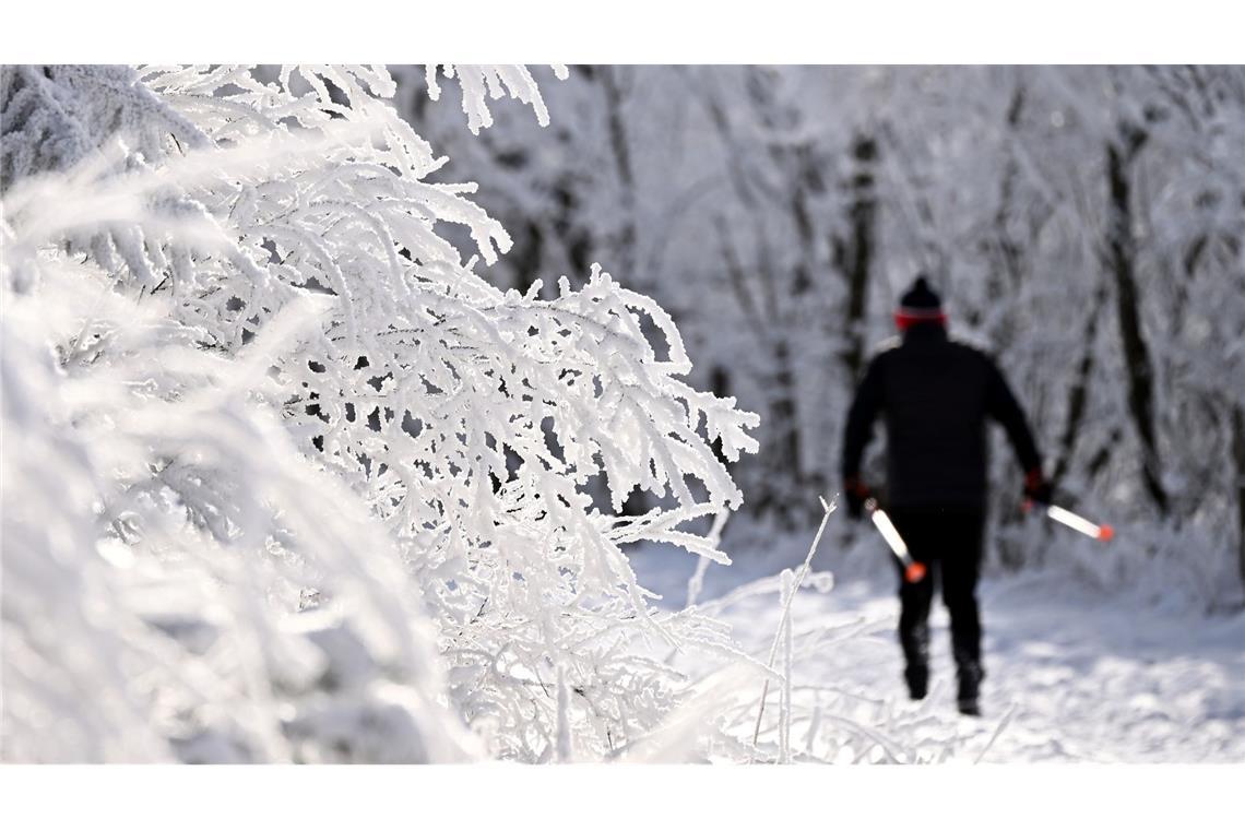 Langlauf bei eisigen Temperaturen im Erzgebirge
