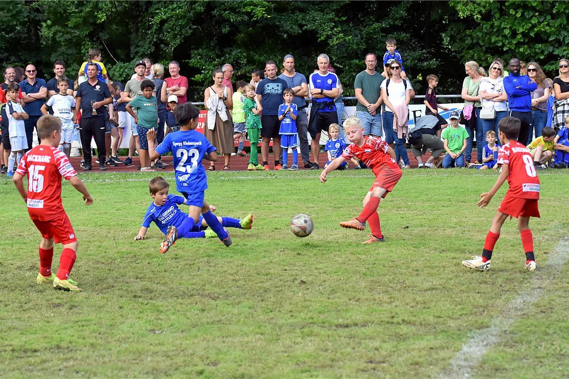 BKZ-Mini-Cup: Die Fußballlust verdrängt den EM-Frust Lasse Hauke (beim Schuss) hat mit drei Toren im Finale des F-Jugend-Jahrgangs 2015 großen Anteil am souveränen TSG-Sieg gegen die Spvgg Kleinaspach/Allmersbach. Foto: Tobias Sellmaier