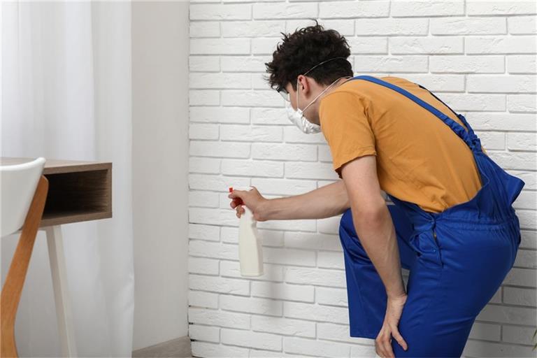 Lassen Sie den Schimmel gar nicht erst entstehen.