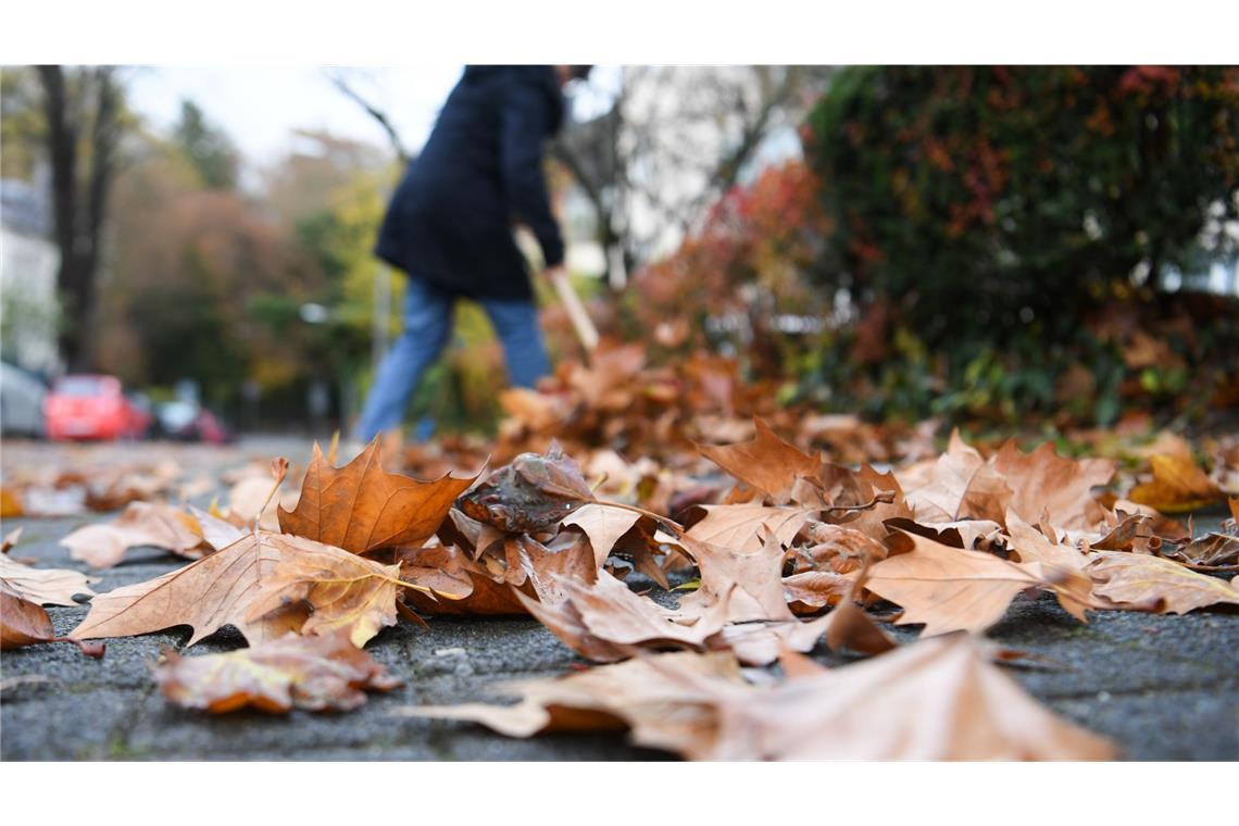 Laubhaufen sind nicht nur Abfall: Heruntergefallenes Laub bietet Igeln und anderen kleinen Säugetieren sowie Insekten, Reptilien und Amphibien einen Unterschlupf für Herbst und Winter.