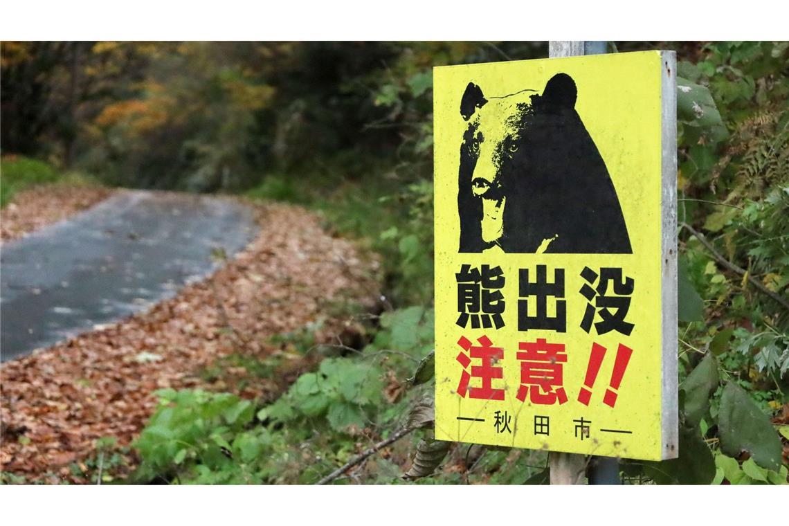 Laut Behördenangaben wurden seit April landesweit 13 Menschen von Bären getötet. (Archivbild)