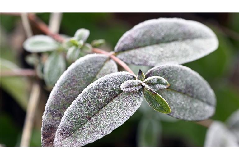 Laut Deutschem Wetterdienst (DWD) dürfte es in den kommenden Tagen deutlich ungemütlicher werden in Baden-Württemberg. (Symbolbild)