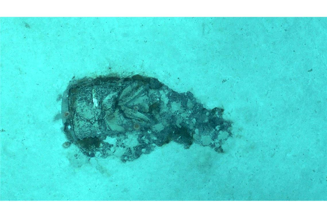 Expedition zeigt: Atommüll-Fässer im Atlantik teils kaputt Laut Fachleuten ist der Zustand der Fässer unterschiedlich – intakt, verformt oder sogar aufgerissen.