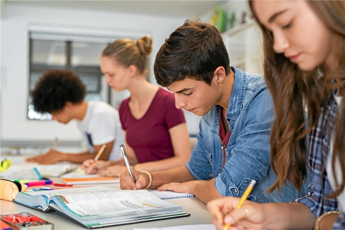 Backnanger Schulleiter sehen viele Gründe für Schwächen in der Bildung Laut Pisa-Studie fehlen den Schülern grundlegende Kenntnisse in Fächern wie Mathe und Deutsch. Foto: AdobeStock/Rido
