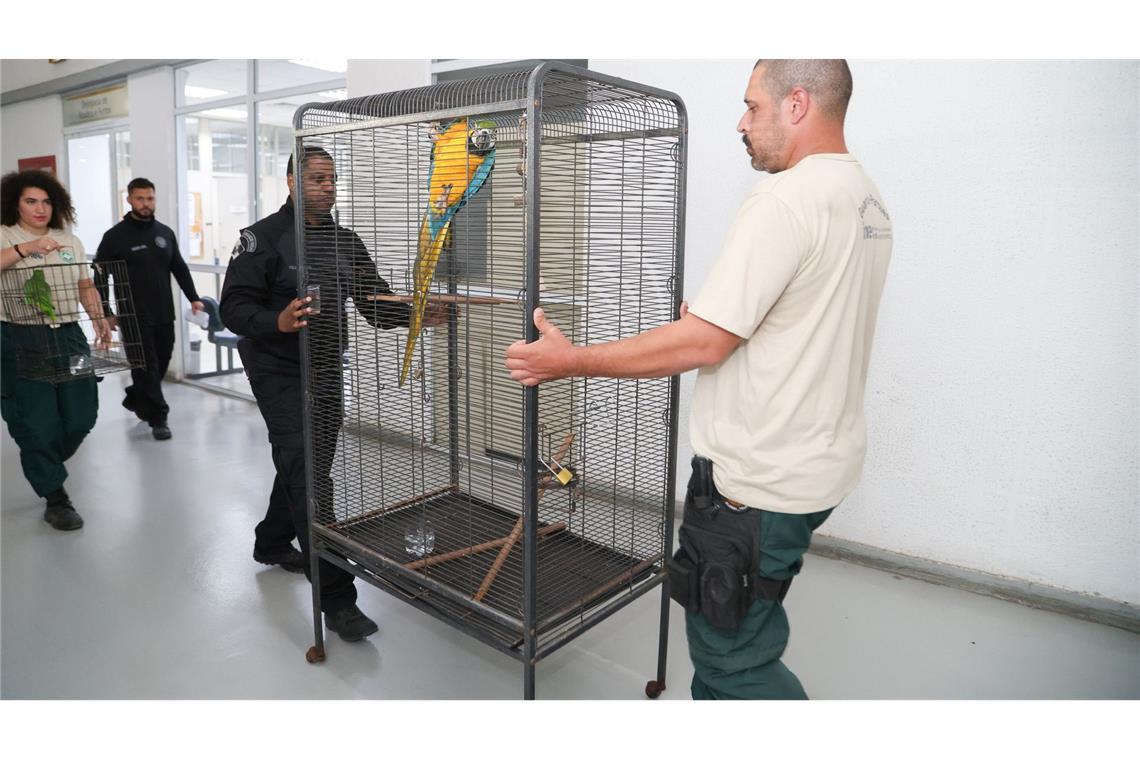 Laut Polizei bringt der Tierhandel der organisierten Kriminalität Millionen ein.