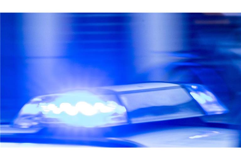 Laut Polizei erlag das Pferd noch an der Unfallstelle an seinen schwerden Verletzungen. (Symbolbild)