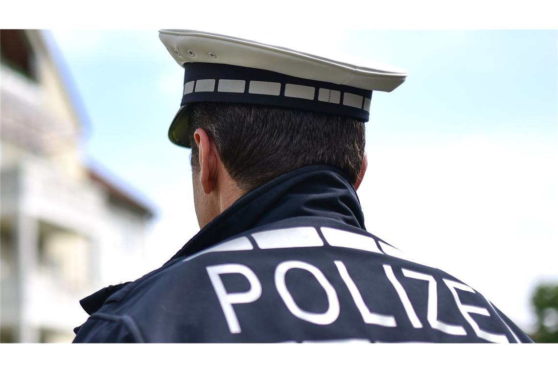 Laut Polizei hat ein Dieb zwei Tieflkühlpizzen gestohlen (Symbolbild).