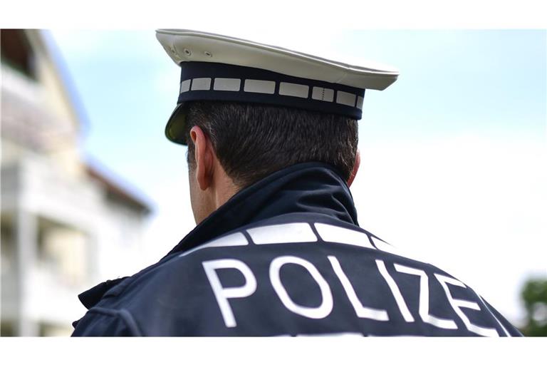 Laut Polizei hat ein Dieb zwei Tieflkühlpizzen gestohlen (Symbolbild).
