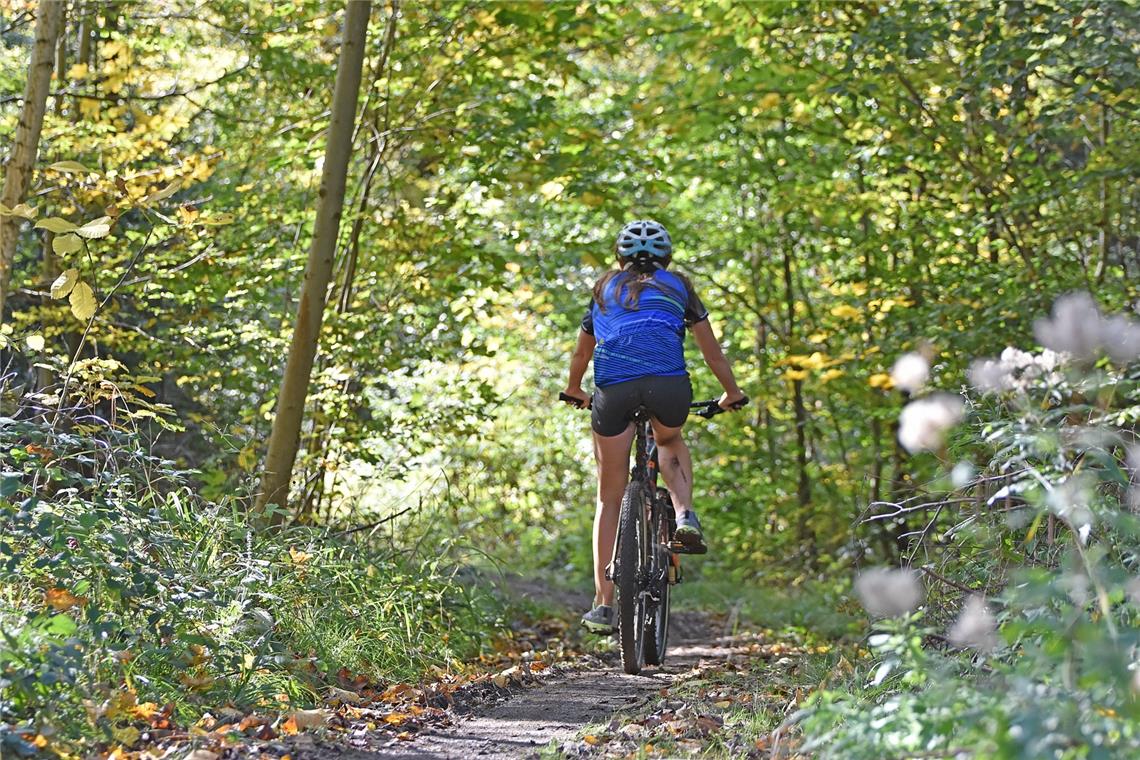 Lautertal, Bikemarathon 2019, SP