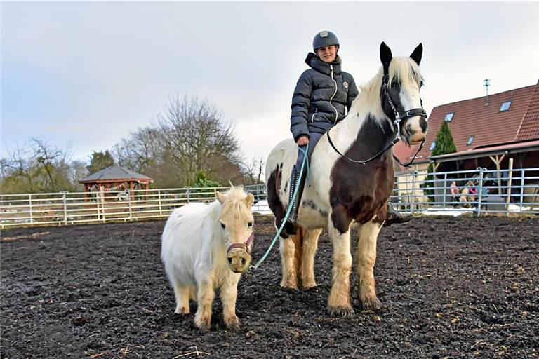 Lea Herzer ermöglicht mit einer Spendenaktion, dass auch ihre Pferde einen Ganzjahresbodenbelag bekommen. Foto: Tobias Sellmaier
