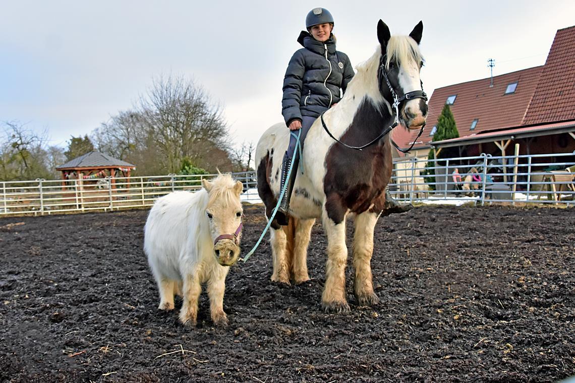 Lea Herzer ermöglicht mit einer Spendenaktion, dass auch ihre Pferde einen Ganzjahresbodenbelag bekommen. Foto: Tobias Sellmaier