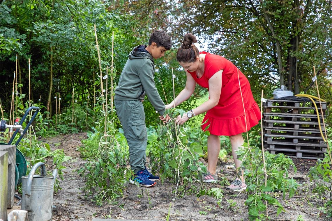 Begegnungen zwischen Gemüse und Wildblumen