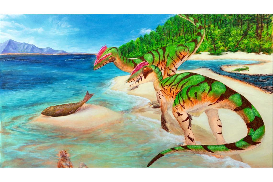 Lebendrekonstruktion des Raubsauriers Lophostropheus von dem Paläokünstler Karim Zanaty. In der Südeifel haben Forscher erstmals einen Dinosaurier in Rheinland-Pfalz nachgewiesen.