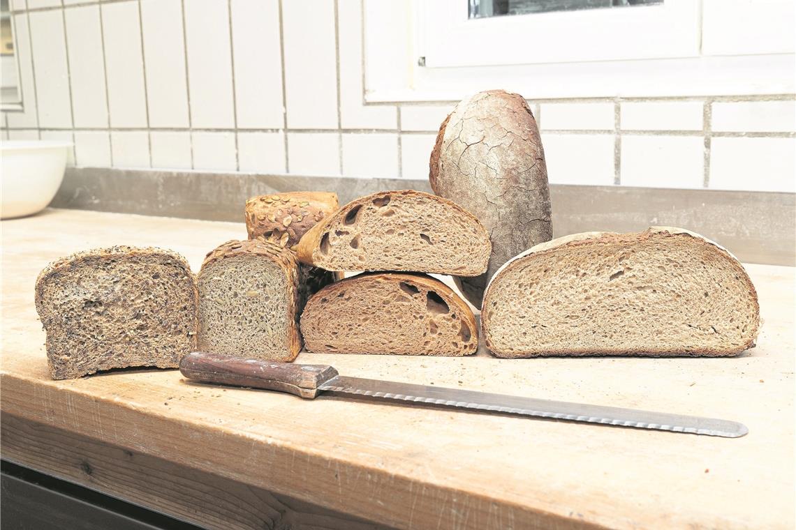 Leinsamen-, Kürbiskern-, Dinkelvollkorn- und Bauernbrot (von links): Jede Sorte weist ihre Charakteristika auf. Die eine kann als Laib gebacken werden, die andere braucht die Kastenform. Fotos: J. Fiedler