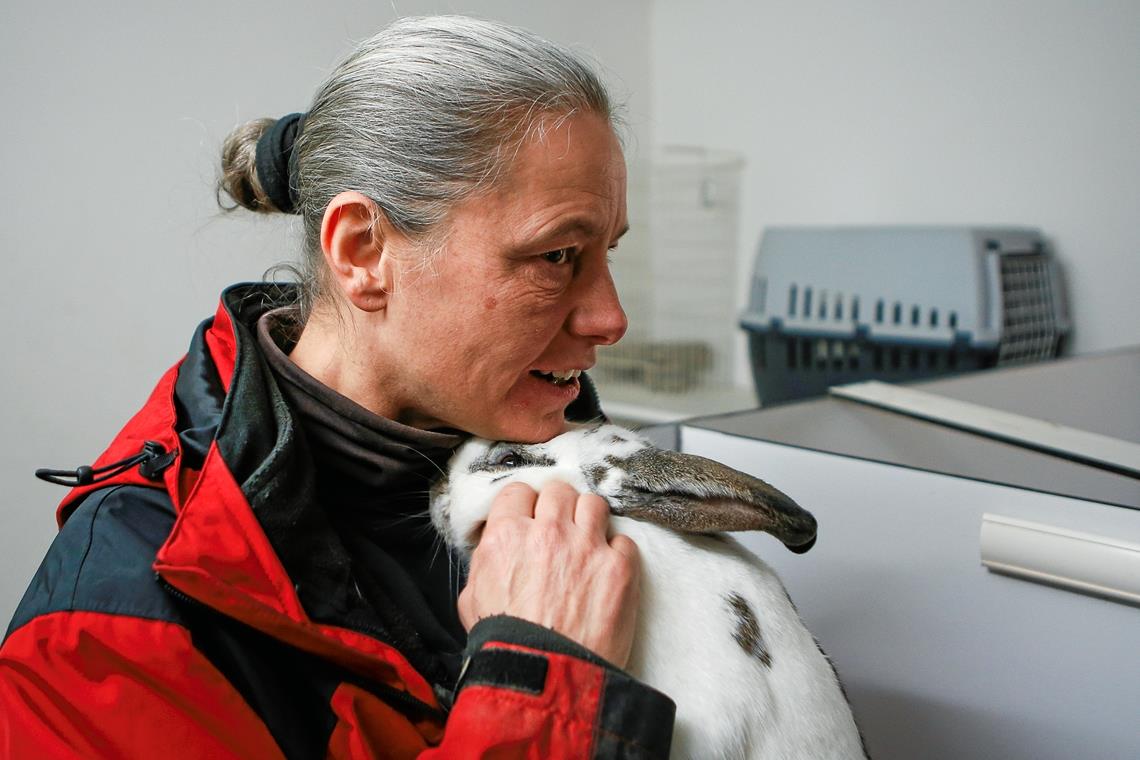 Wo Tiere auf ihr Traumzuhause warten Leiterin Marion Bentrup mit Ubaldo. Für Kuscheleinheiten hat sie nur wenig Zeit.Fotos: A. Becher
