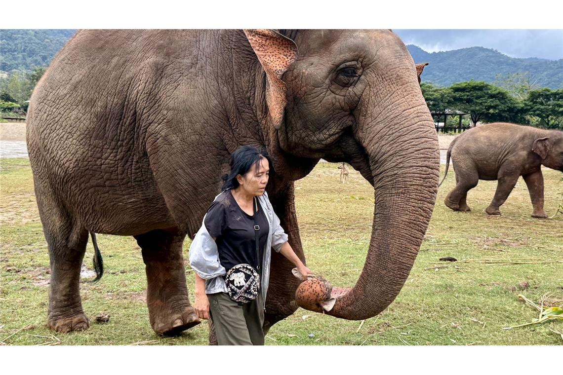 Lek ist für ihre Arbeit vielfach ausgezeichnet worden.