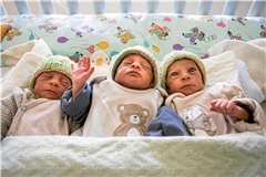 Leon, Luka und Levi (von links) entwickeln sich prächtig. Fotos: Benjamin Beytekin