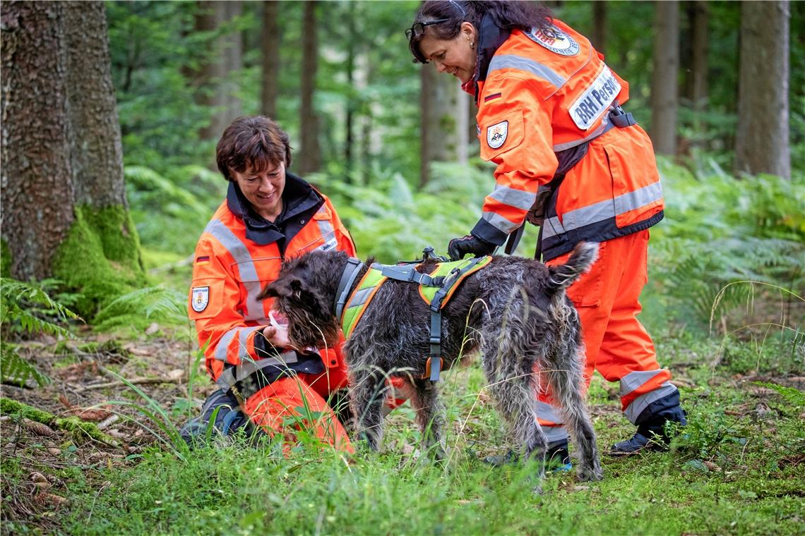 Heldenhafte Spürnasen und ihre Begleiter