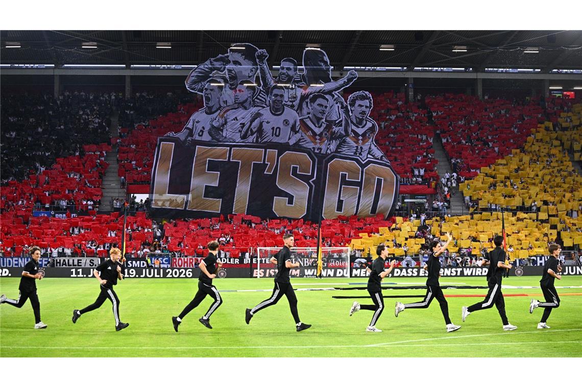 "Let's go"  heißt es bei einer Choreografie vor Anpfiff des Länderspiels in Mainz.