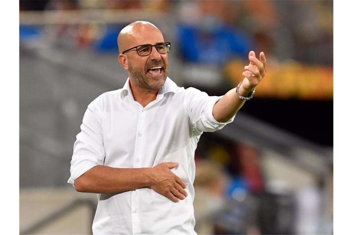 Leverkusen-Trainer Peter Bosz trieb seine Mannschaft von der Seitenlinie an. Foto: Marius Becker/dpa