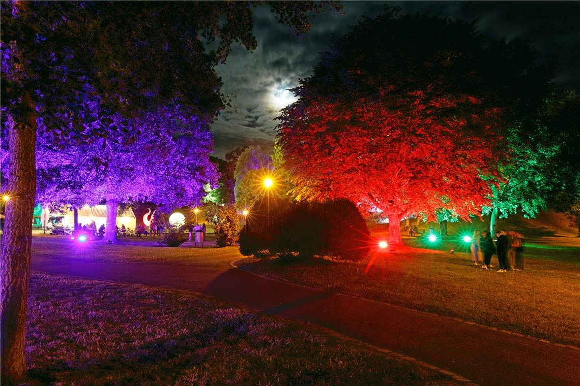 Lichterglanz im Stadtgarten