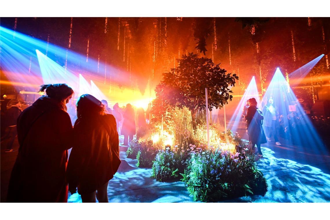 Lichtinstallation "Forest Seasons"