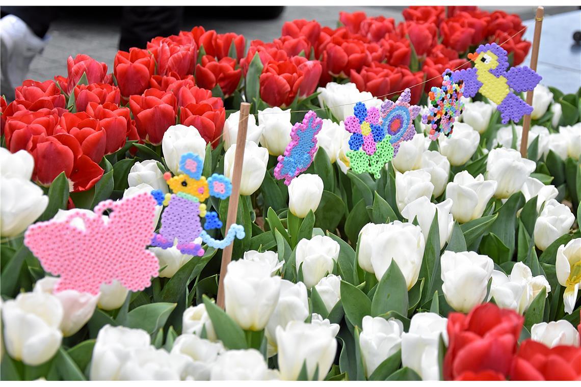 Liebevoll gestaltete Kunst von den Kindern der Backnanger Kitas. Tulpenfrühling ...