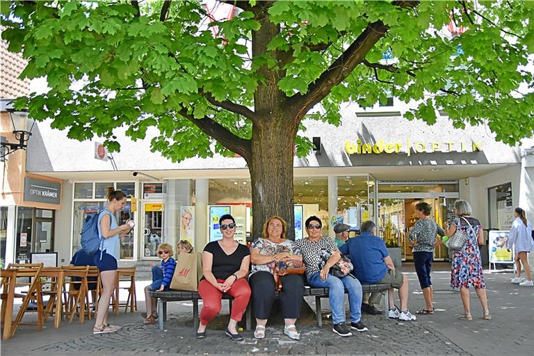 Lieblingsplatz in heißen Zeiten: Der Baum in der Innenstadt trägt zur Abkühlung des Stadtklimas bei und spendet Schatten. Foto: Tobias Sellmaier