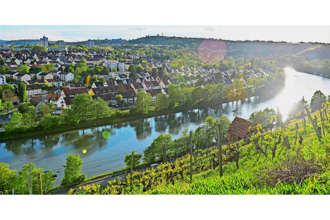 Liegt am Neckar und ist bezahlbar: der Stuttgarter Bezirk Münster
