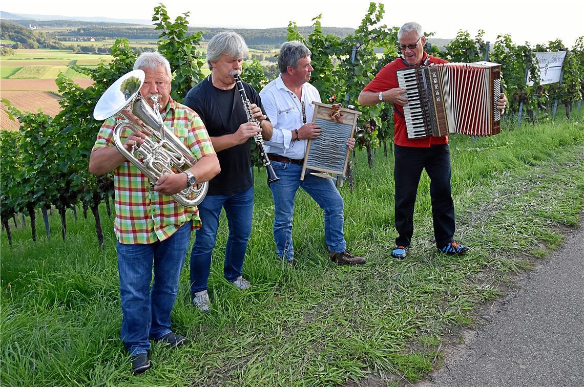 Livemusik, ein Gläsle Wein und eine tolle Aussicht konnte man bei Weinbau Schwar...