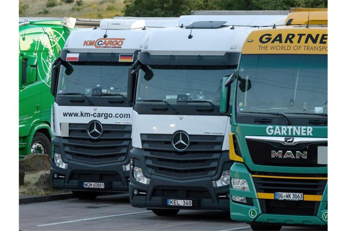 LKW stehen auf dem Autobahnparkplatz Dornheimer Rieth in Thüringen. Foto: Michael Reichel/dpa-Zentralbild/dpa