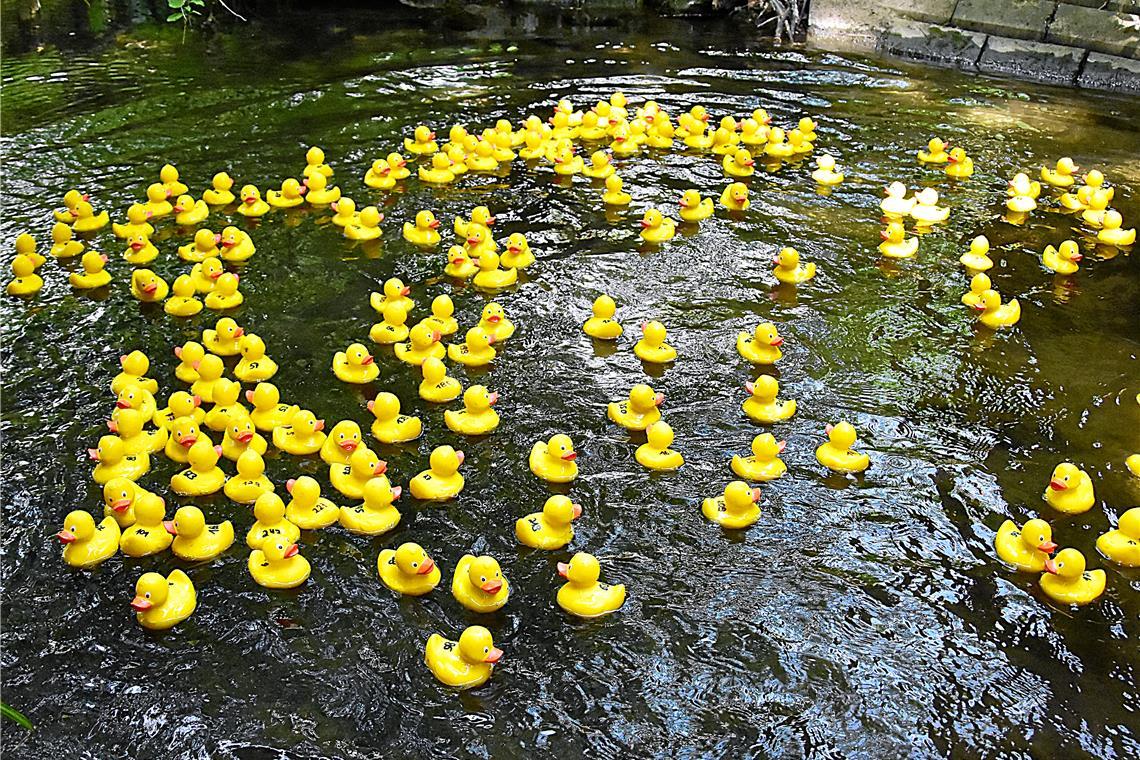 Los geht´s beim Entarenna. Beim Start werden die gelben Quietscheentchen von der...